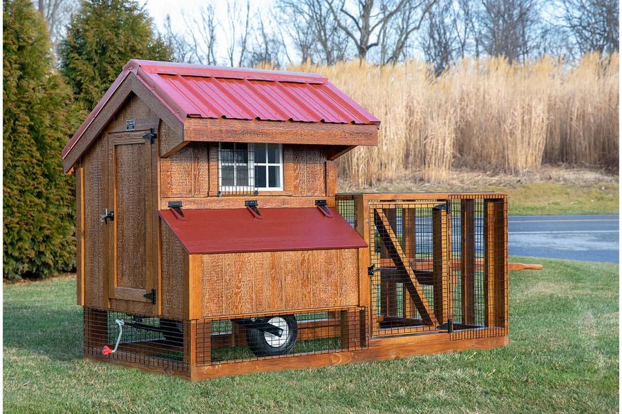 Amish Built 3×4 Tractor Chicken Coop with Cedar Stain - The Henhouse Collection - Pet Houses Direct