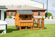 Amish Built 3×4 Tractor Chicken Coop with Cedar Stain - The Henhouse Collection - Pet Houses Direct