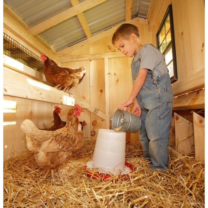 Amish Built 4×4 Quaker Chicken Coop – White/Black - The Henhouse Collection - Pet Houses Direct