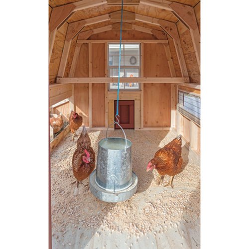 Amish Built 4W x 6L "The Dutch" Chicken Coop - The Henhouse Collection - Pet Houses Direct