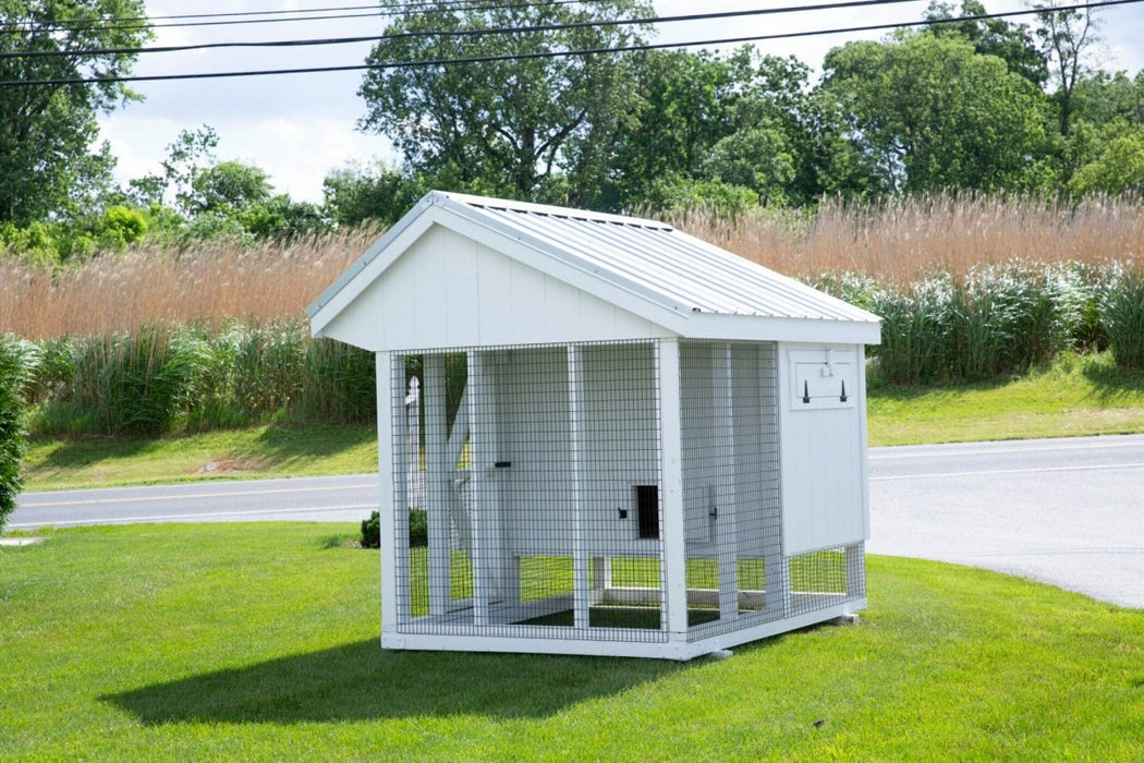 Amish Built 6×8 Combination Quaker Chicken Coop – White/White - The Henhouse Collection - Pet Houses Direct